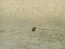 pict0007